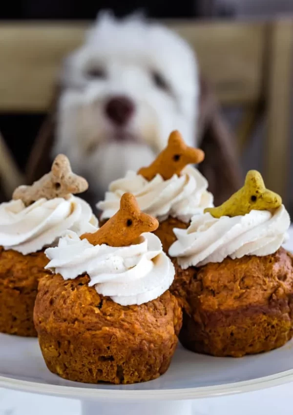 The Best Homemade halloween Dog Treats | Halloween Dog Treat Recipes